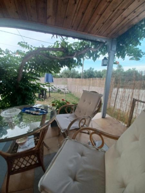 Olive holiday home